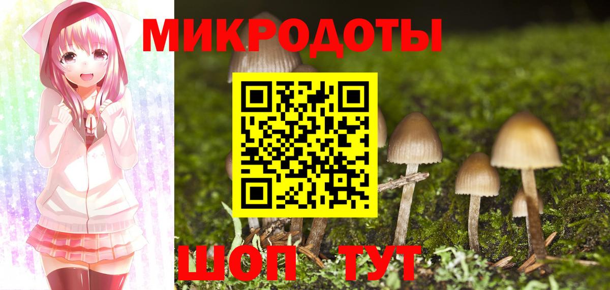 Псилоцибиновые грибы Cubensis Раменское